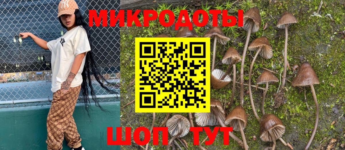Выборг  Псилоцибиновые грибы MAGIC MUSHROOMS  купить  цена  Вход с VPN 