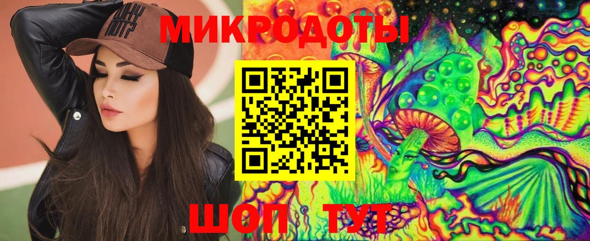 Галлюциногенные грибы Psilocybine cubensis Выборг